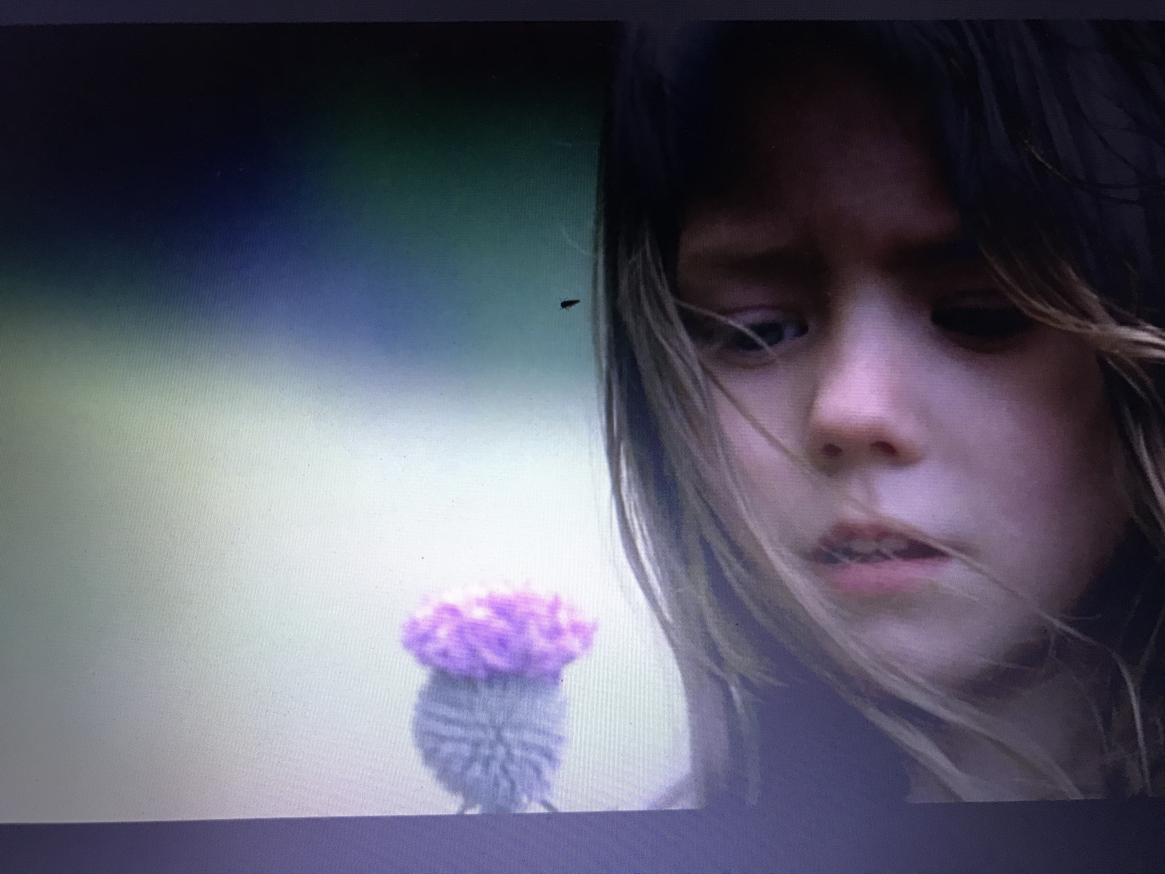 discipleship notes: fearless