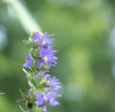 discipleship notes: away