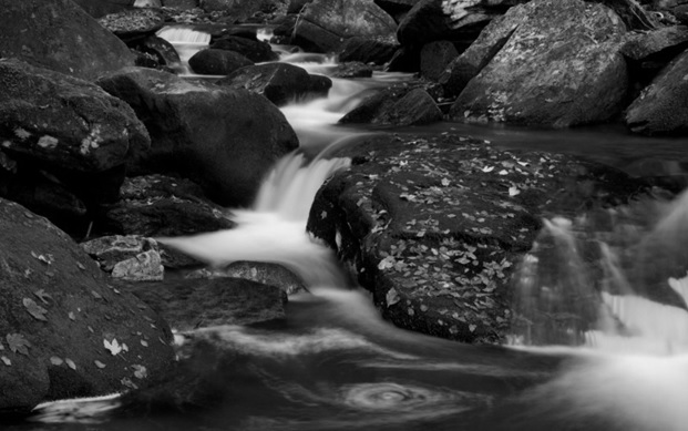 discipleship notes: we 1