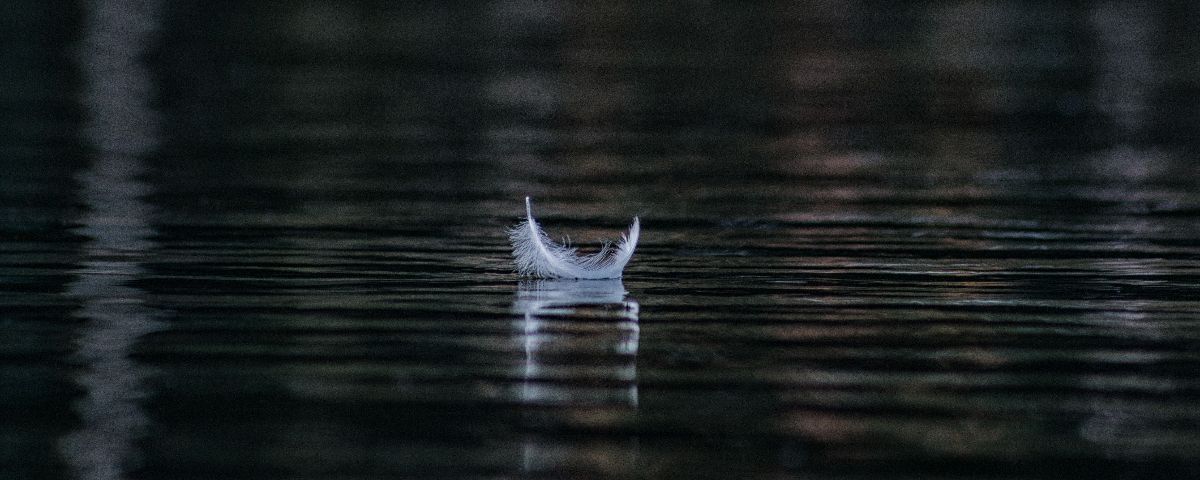 Silence: A Book Review